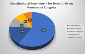 New Hampshire Wants Congressional Term Limits Amendment