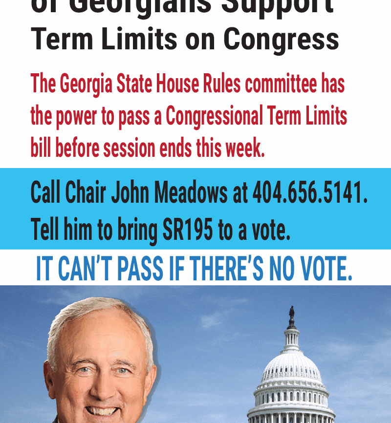 John Meadows Holds up congressional term limits vote