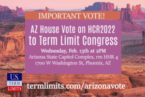 Arizona Term Limits Vote