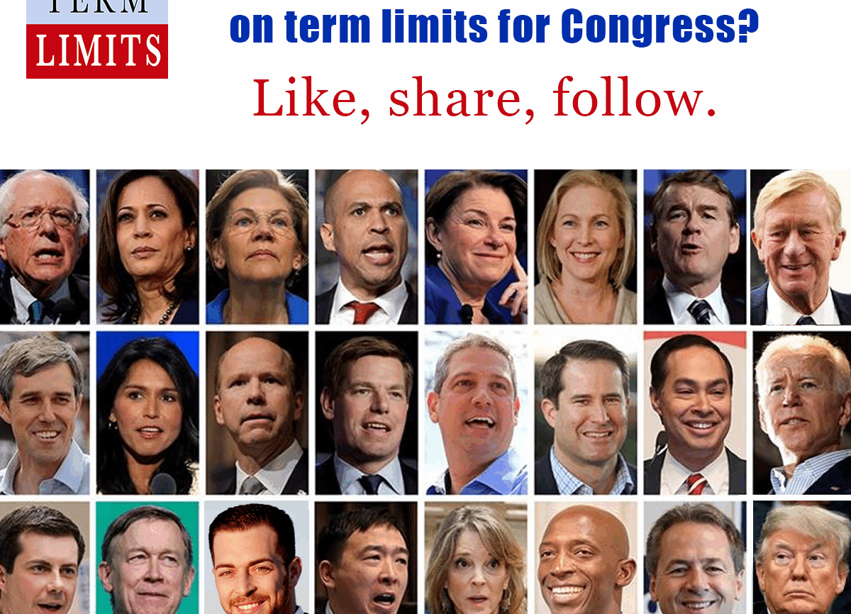 Where do the 2020 candidates for president stand on term limits for congress?