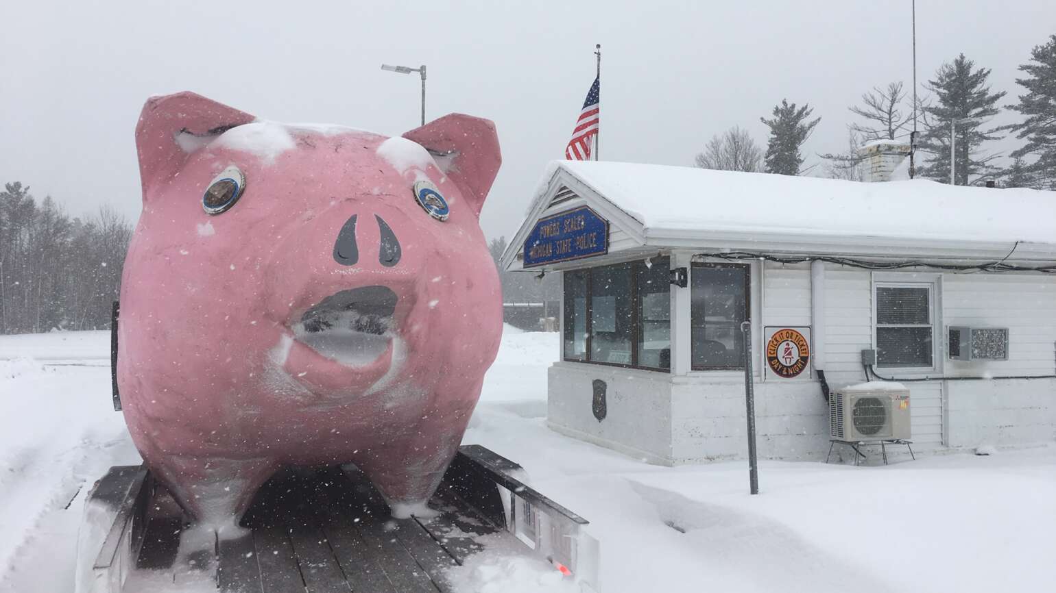 Wasted Wilbur drunk on power