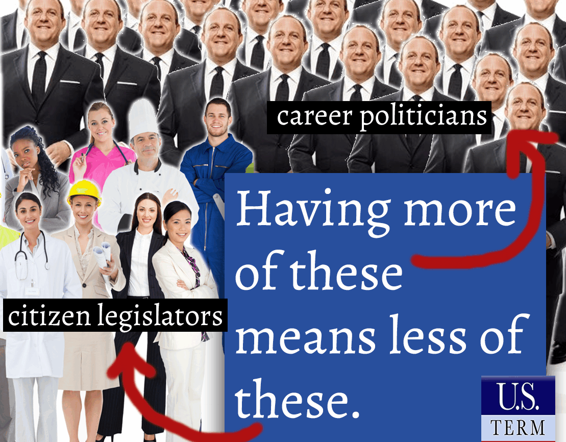 too many career politicians in congress