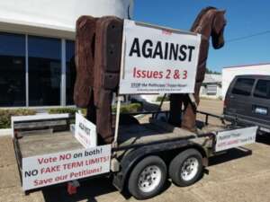 Term Limits Trojan Horse in Arkansas