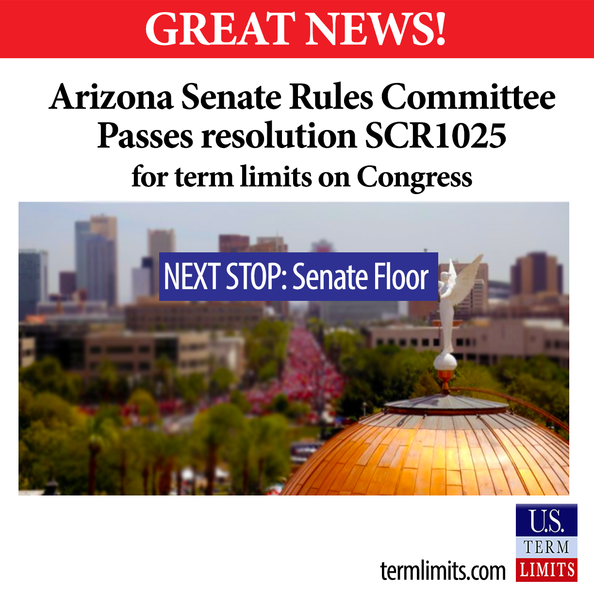 AZSenRulesPasses term limits on congress