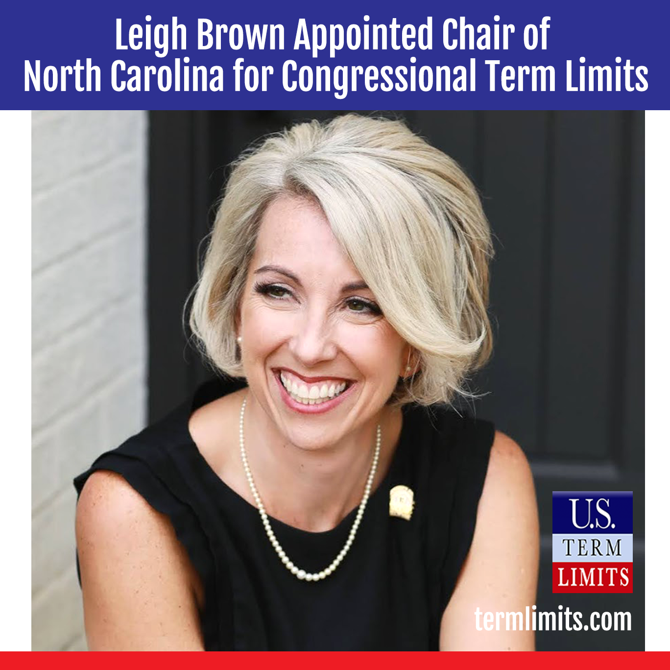 Leigh Brown chair of north carolina congressional term limits