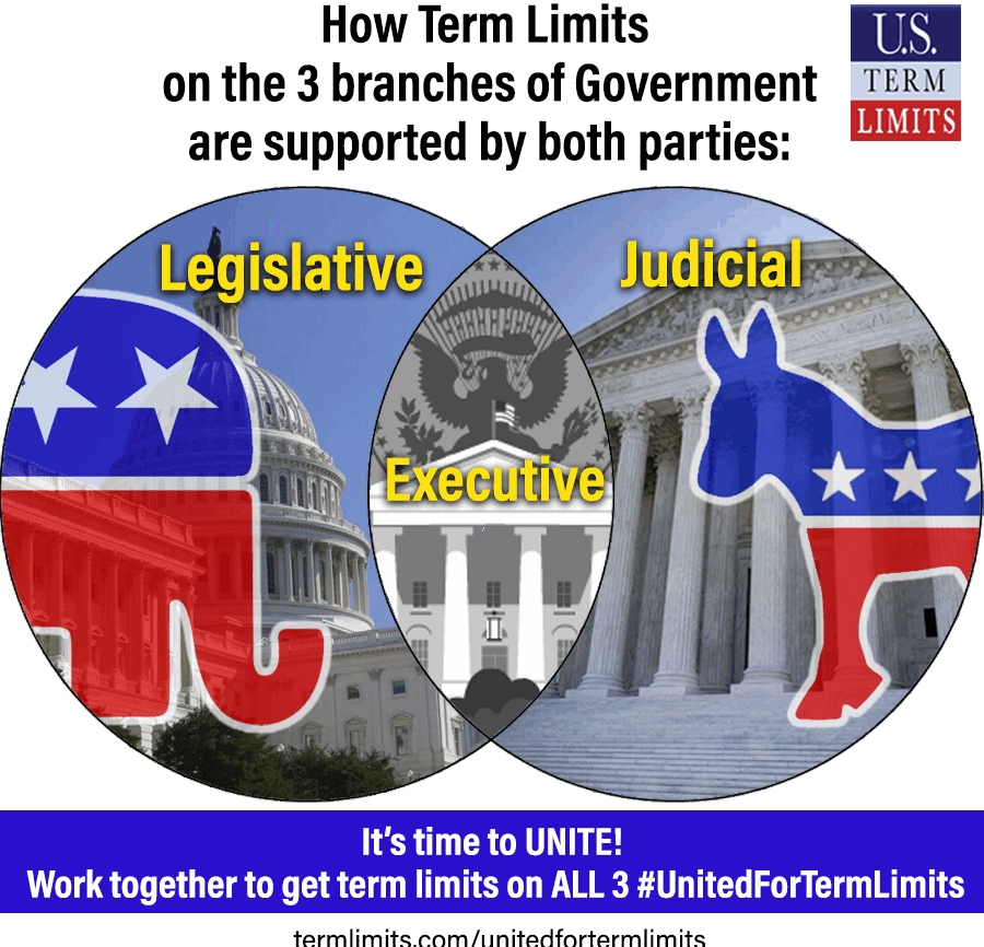 judicial term limits