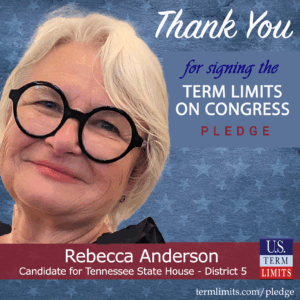 tennessee state house 5